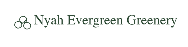 store-055 store-055-logo.png