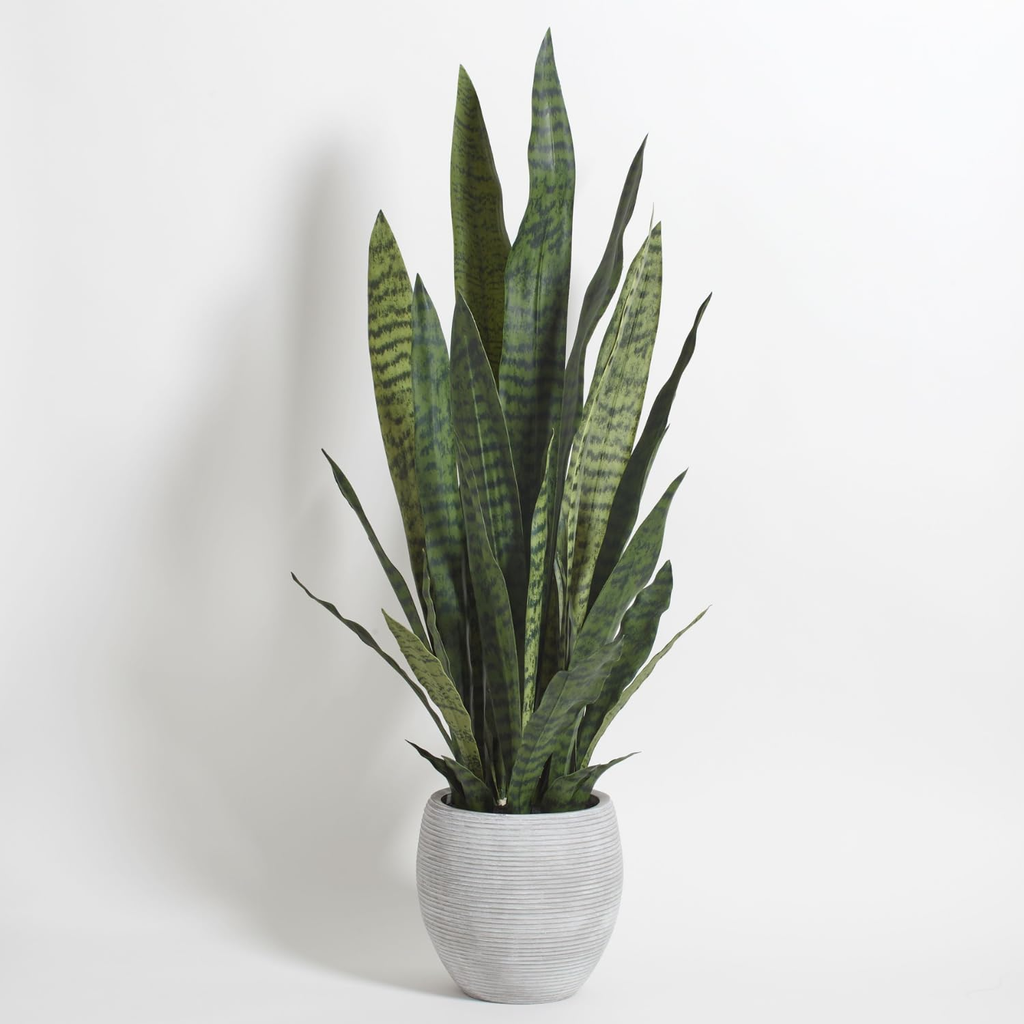 Nyah Evergreen Greenery Faux Succulents White
