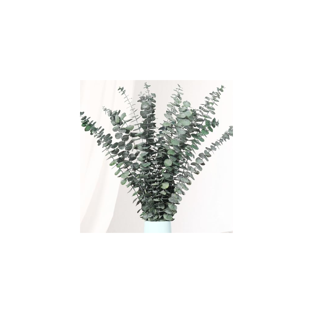Nyah Evergreen Greenery Dried Bundle Gray