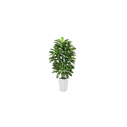 Nyah Evergreen Greenery Travel Fake Bonsai White
