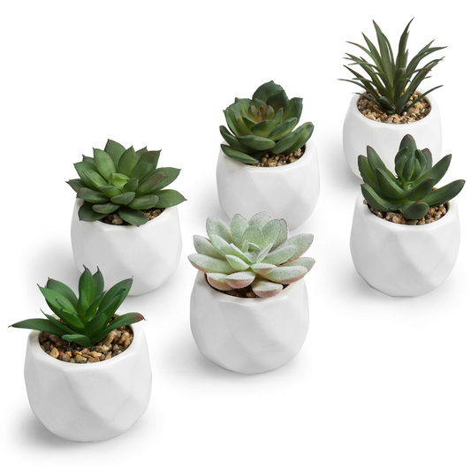 Faux Succulent Mini 6-pack Green Mix product photo