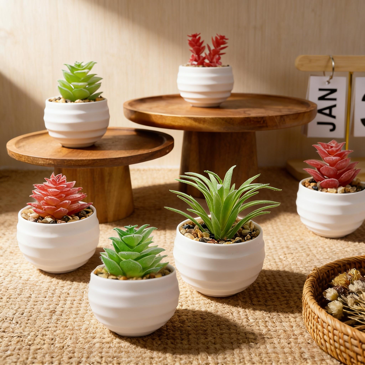 Faux Succulent Mini 6-pack Pastel Mix product photo