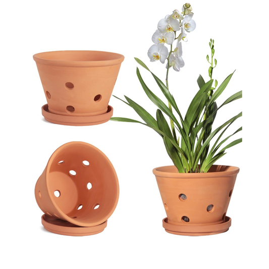 Terracotta Planter 4" product photo