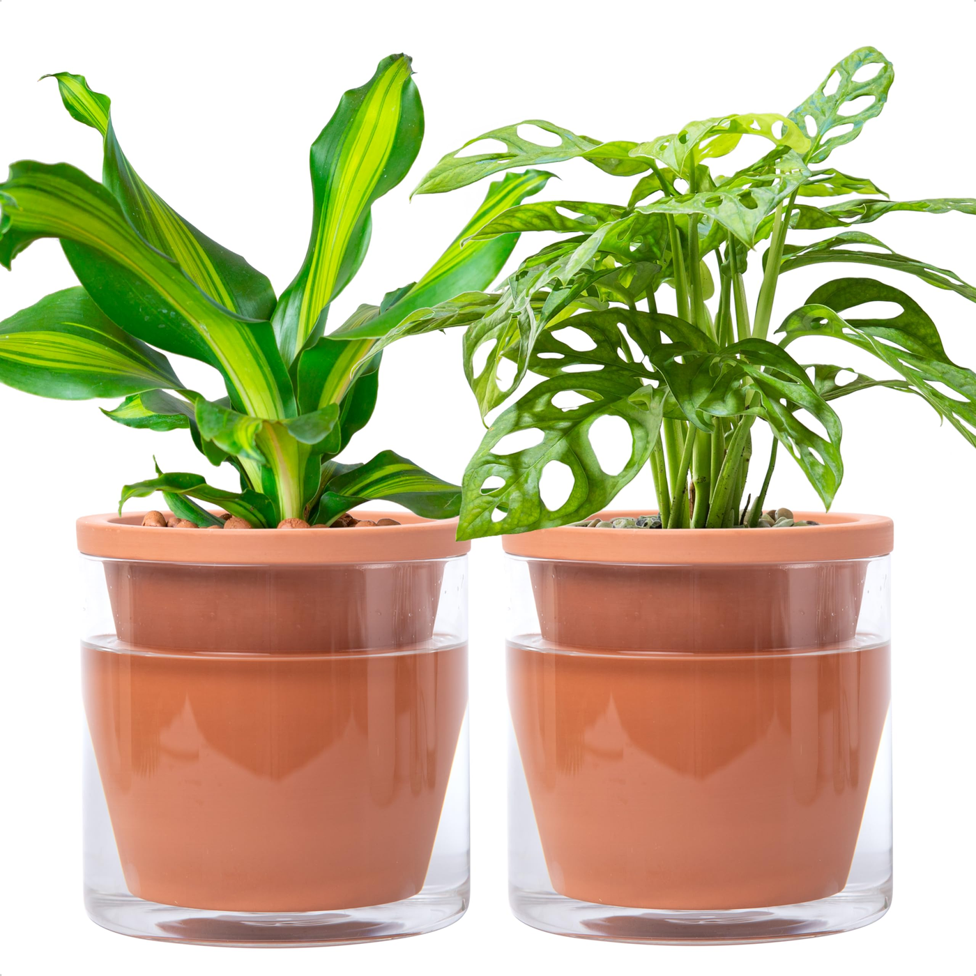 Terracotta Planter 6" product photo
