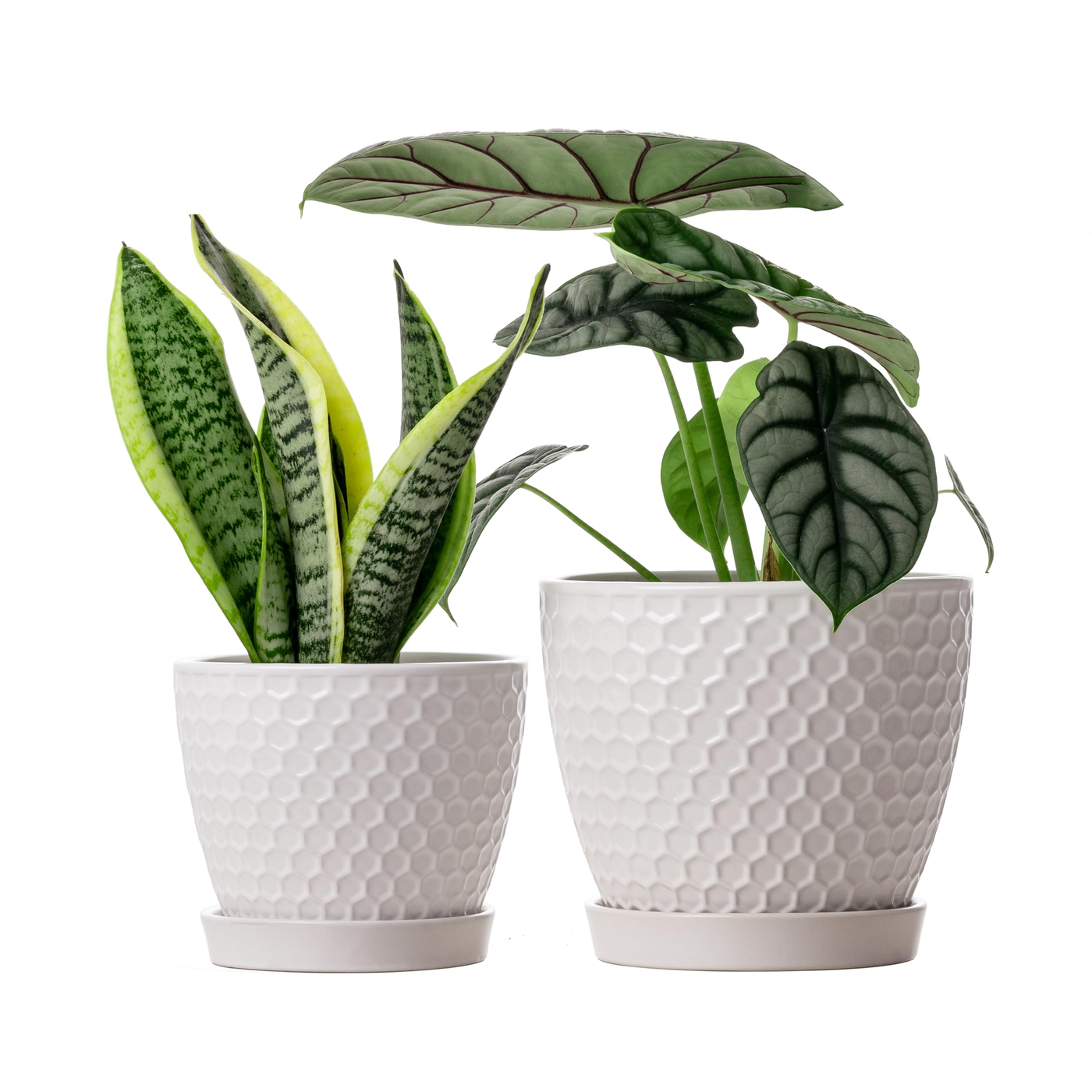 Ceramic Planter Modern Small product photo