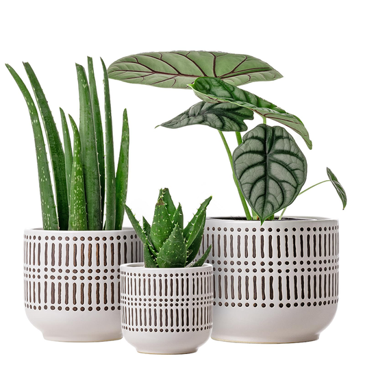 Ceramic Planter Modern Small product photo