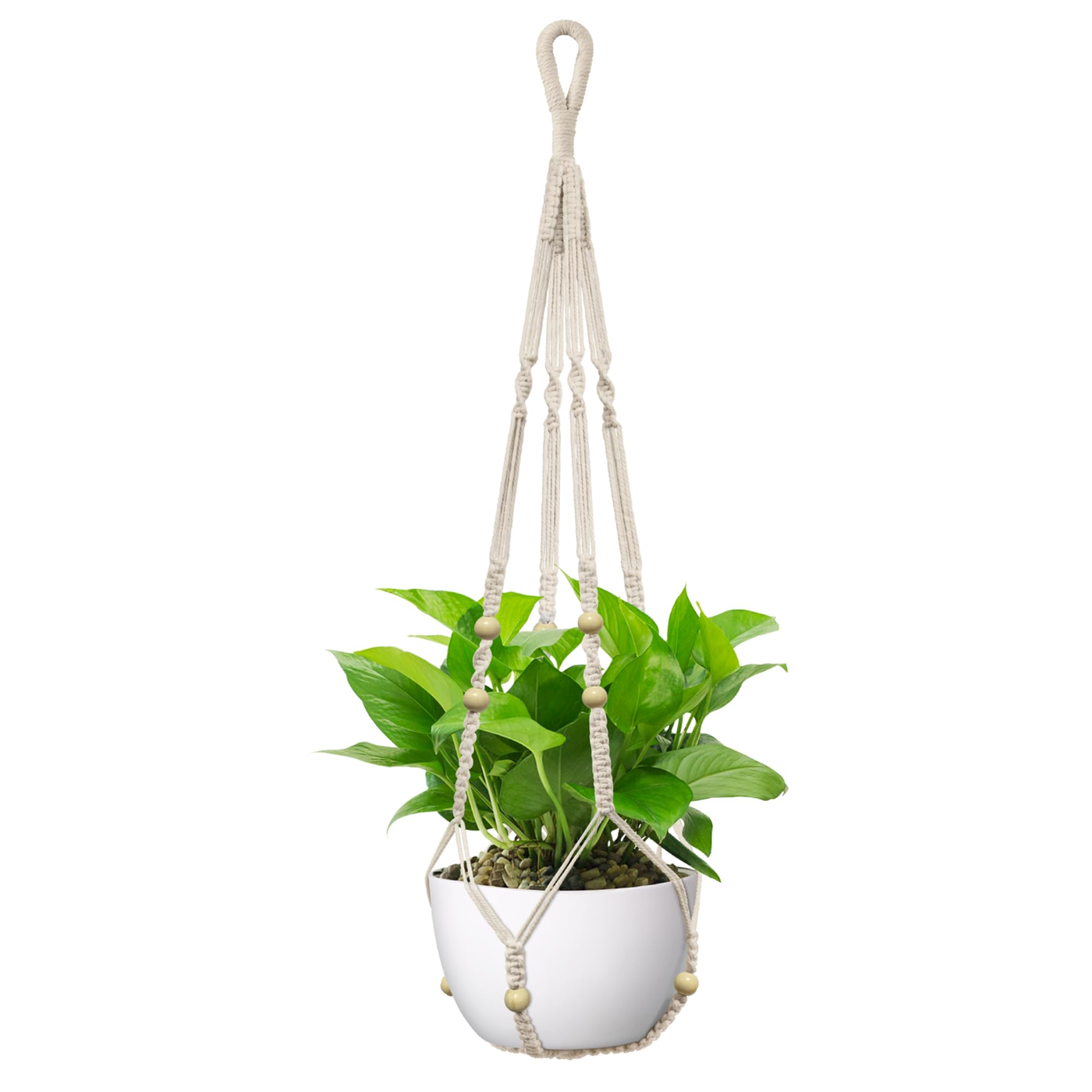 Hanging Macrame Planter Small product photo